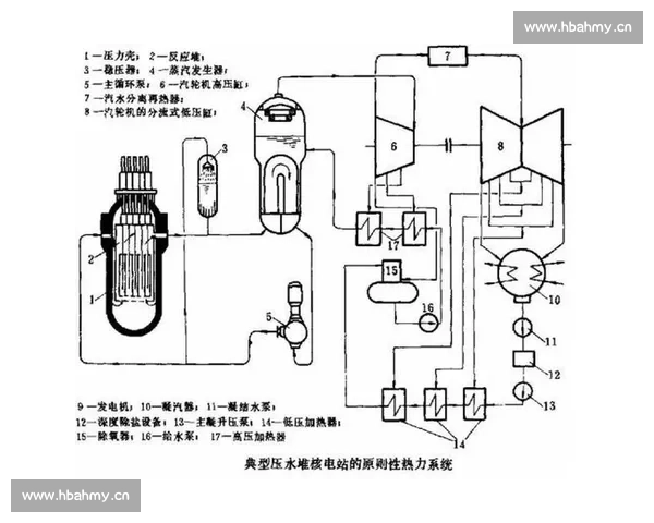 围绕单循环比赛制度探讨其公平性竞技性与参赛策略优化路径
