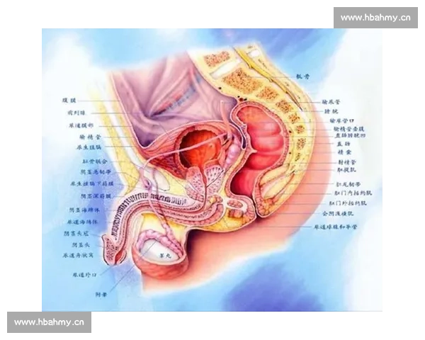 男性健康关注:探索男科疾病的预防与治疗新方法